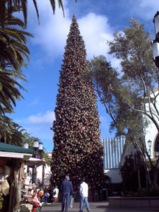 Tallest Christmas Tree In America at Fashion Island